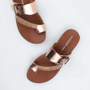 Bria Slide 
