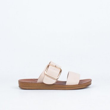 Doti Slide 