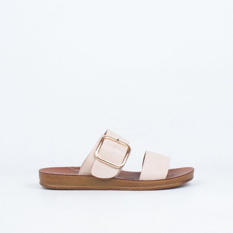 Doti Slide 
